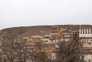 山坡上的藏式建筑群落