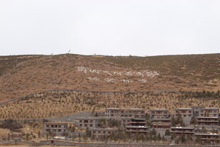 山坡下的建筑群景观