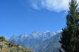 巍峨山脉旁的挺拔绿树