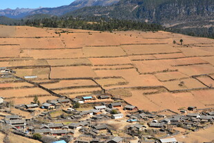 俯瞰田野中的村落