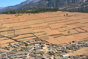 俯瞰田野与村落景观