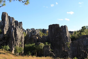 壮观石林景观