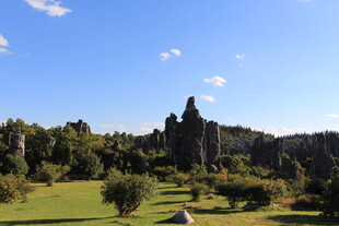 石林美景 绿意环绕的自然奇观