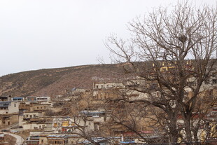 山坡下的村落景象