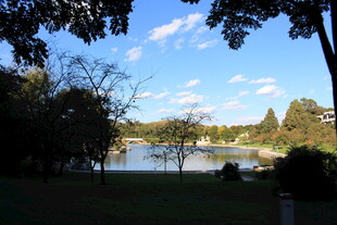 湖畔绿树环绕的美丽景致