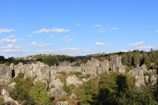壮观石林景观 蓝天白云下