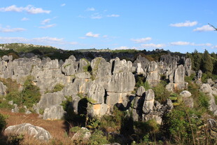 壮观石林景观