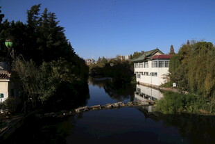 河畔风景 静谧建筑与绿树
