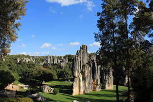 古老废墟旁的葱郁景色