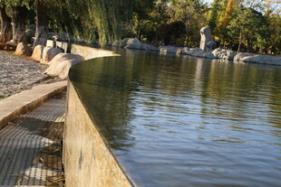 湖畔木栏旁的静谧风光