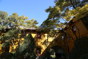 秋日古建旁的繁茂树木