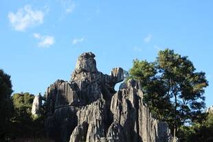 云南石林独特自然景观