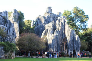 云南石林景观 游人如织