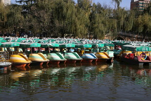 湖畔多彩游船整齐排列