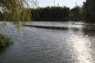 阳光照耀下的宁静湖水