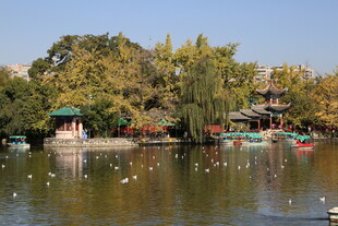 湖畔秋景 游船飞鸟相映趣