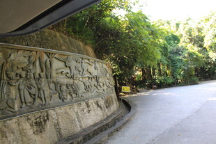 路边雕刻墙 绿意环绕