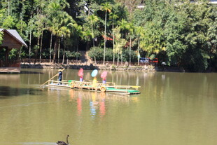 河上竹筏游 赏自然景致