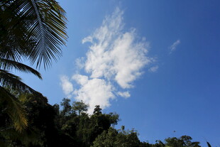 蓝天绿树间的白云美景