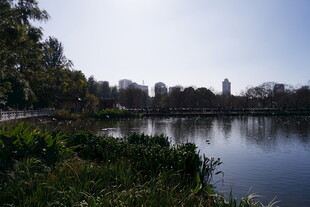 湖畔自然风光美景