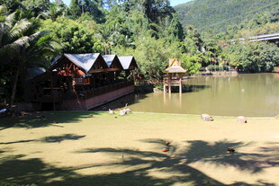 湖畔木屋 自然静谧风光