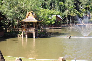 湖畔凉亭 自然水景风光