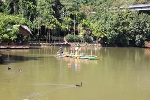 河上竹筏游 周边绿意浓