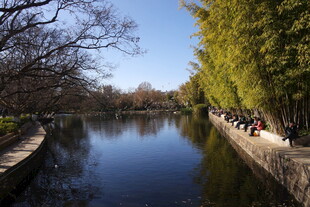 河畔风光 静谧宜人