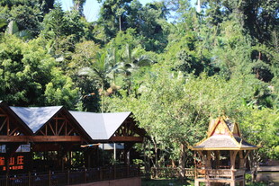 森林中的特色木屋景观