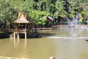 湖畔凉亭喷泉自然美景