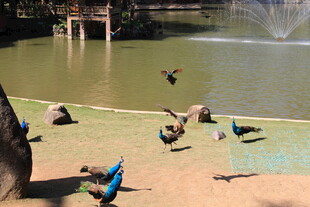 湖边休闲的人们