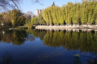 湖畔绿树倒映的静谧风光