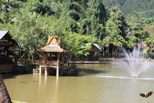 湖畔木屋旁的喷泉美景