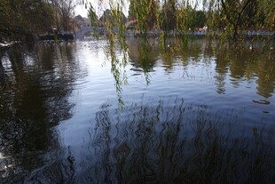 宁静湖畔倒影如画