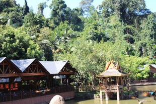 山林中的特色木屋景观