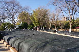 户外场地覆盖黑色防护布