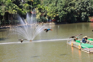 湖畔喷泉与水上休闲平台