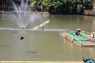 湖畔喷泉旁的休闲场景