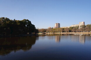 湖畔城市风光 静谧美好