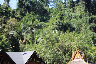 山林中的户外场景