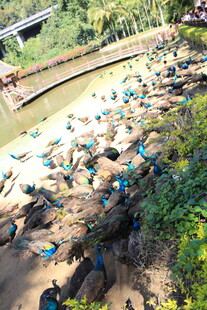 户外露营场景 帐篷林立