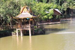 河畔木质凉亭 自然景致