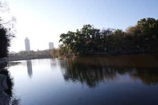 湖畔秋景 静谧湖水映树影