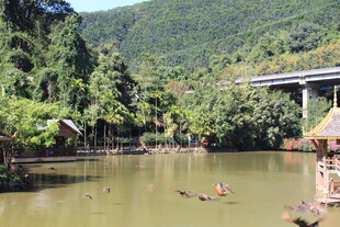 山间绿水畔的休闲景象
