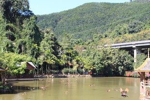 山间河畔的自然景致