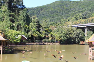 河畔风光 水中嬉戏的人群