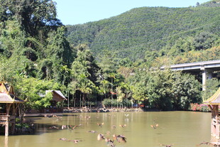 河畔乡村风光 宁静水乡景