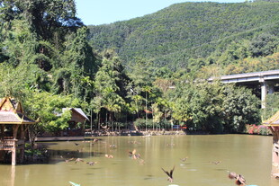 河畔自然景观 休闲好去处