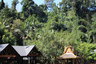 山林中的特色小屋