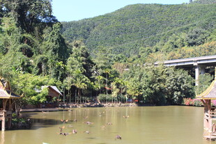 河畔小屋与青山绿水景观